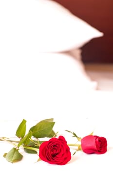 Romantic setting on a bed with red roses.