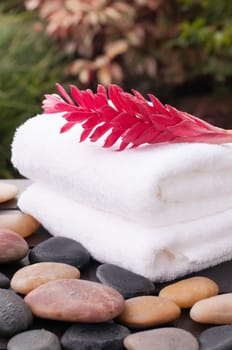 Zen wellness with red ginger flower on a wet wooden table