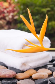 Exotic spa holiday with zen stones and orange heliconia flower