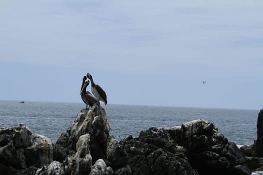 Beaches of Valparaiso, Vina Del Mar, Chile