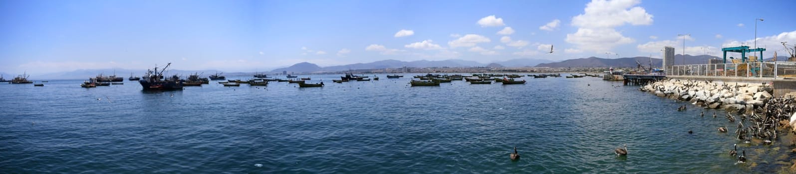 Harbour at Coquimbo Chile