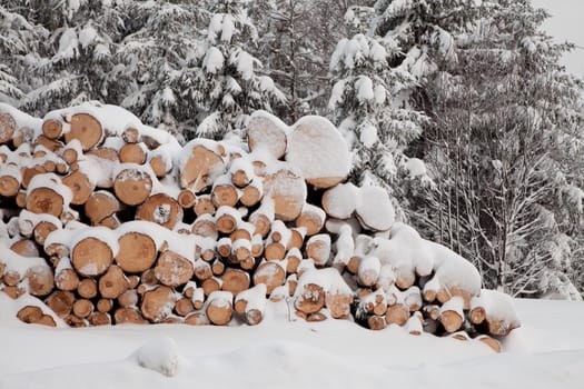 Wood Warehouse in Winter Snow