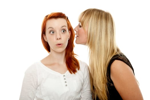 young beautiful red and blond haired girls in front of white background