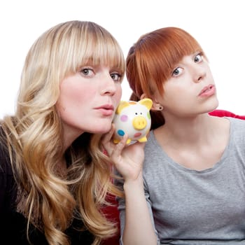 young beautiful blond and red haired girls ears on moneypig on red sofa in front of white background