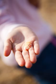 Closeup of small seashell held in hand of young girl