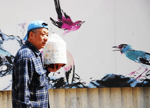 Chinese with Birdcage