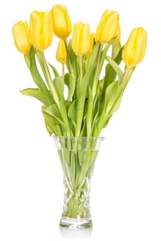 Crystal vase with yellow tulips on the white background