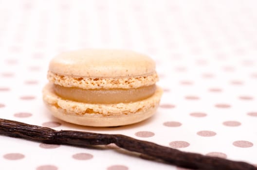 French specialty beige macaron with vanilla