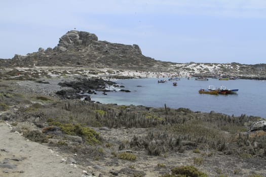 Isla Damas near La Serena Chile