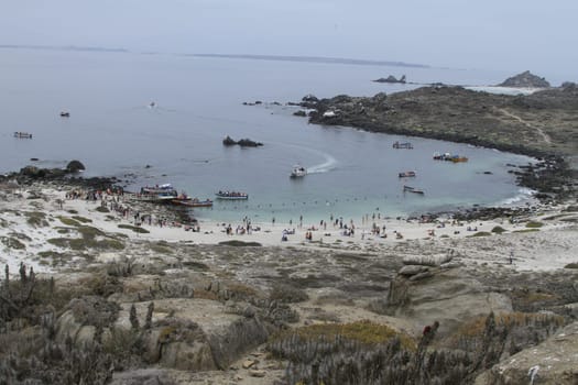 Isla Damas near La Serena Chile