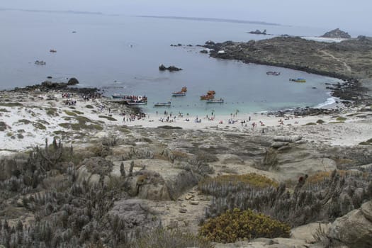 Isla Damas near La Serena Chile