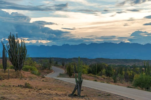 A road winding through a desert at dusk