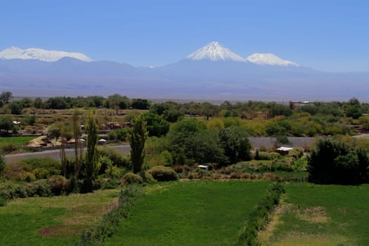 View of oasis from San Pedro De Atacama