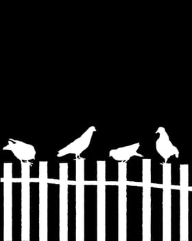 High contrast composition with pigeons sitting on top of a wooden fence and room for text