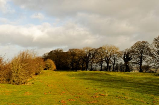 British rural landscape in winter by a sunny day