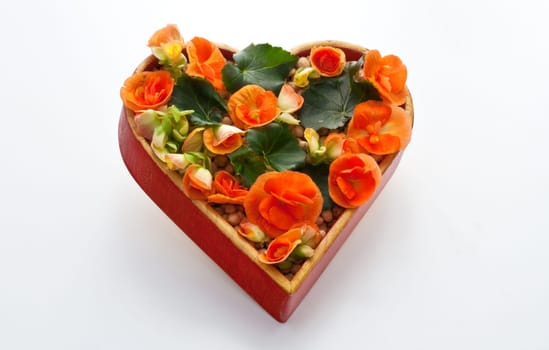 A lot of flowers inside a heart