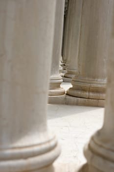 Columns in the Venice yard