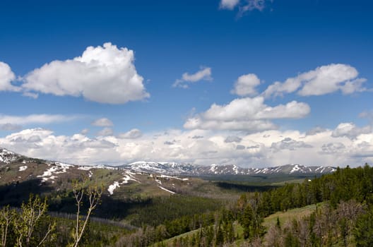 panorama of mountains in Yellowstone National Park in Wyoming