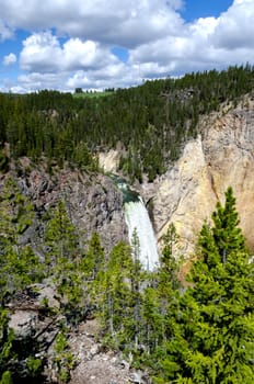 Canyon Falls on the Yellowstone in Wyoming