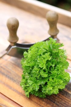 Parsley with Chopping Knife
