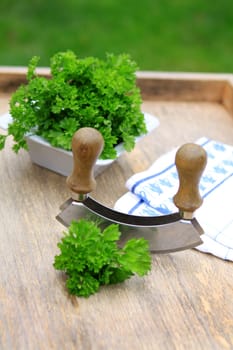 Parsley with Chopping Knife