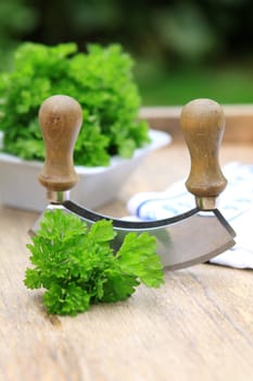 Parsley with Chopping Knife