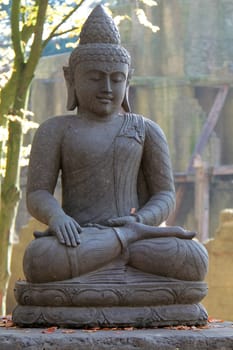 Buddha