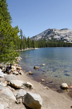 Tenaya Lake on Tioga pass in Yesemite National Park