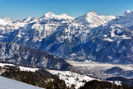From the Schwarzhorn to the Schreckhorn