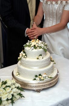 Cutting the wedding cake