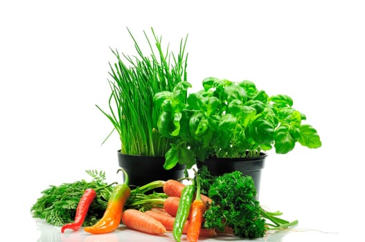vegetable
