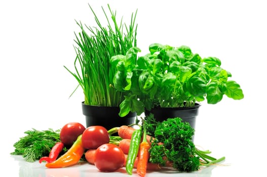 vegetable