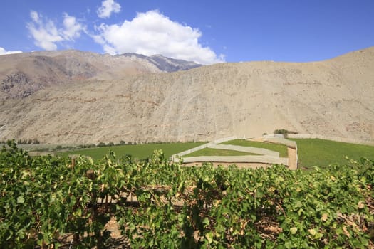 Elqui valley