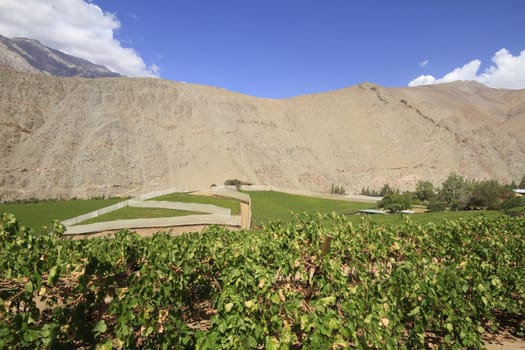 Elqui valley