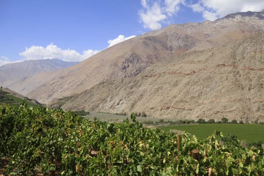 Elqui valley