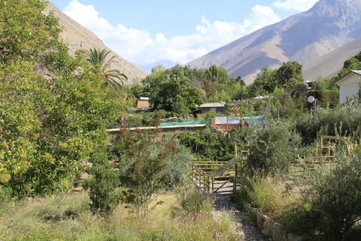 Pisco sour distillery in Pisco Elqui