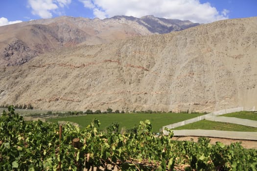 Elqui valley