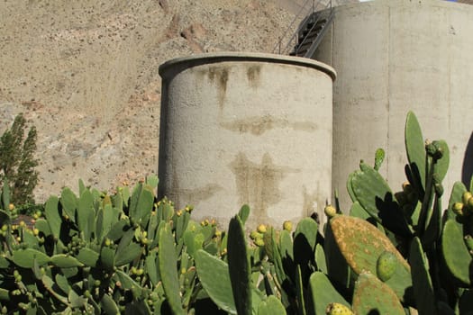 Pisco sour distillery in Pisco Elqui