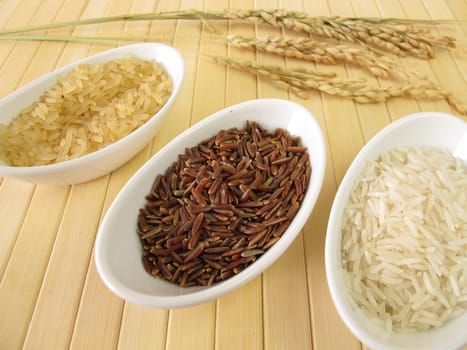 Rice varieties and rice panicles