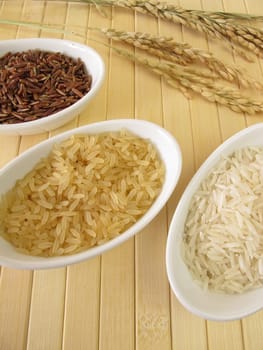 Rice varieties and rice panicles