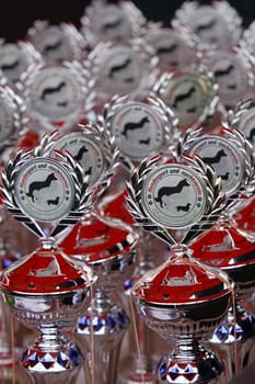 Trophies at a dog show