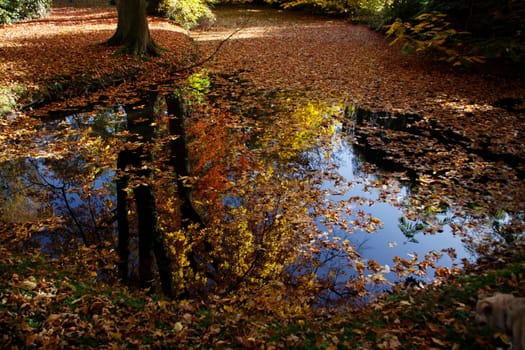 Autumn park with small pond
