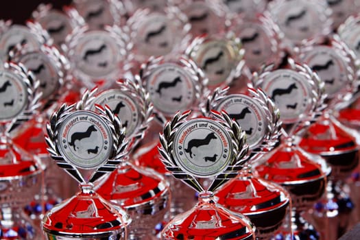 Trophies at a dog show