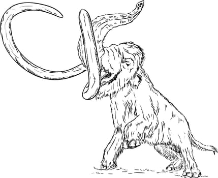 vector - big mammoth attacking - isolated on background
