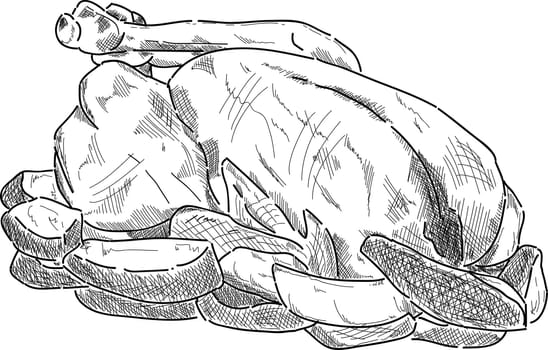 vector - Roast chicken with potatoes isolated on background