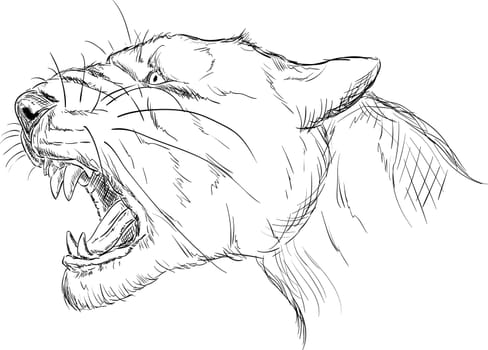 vector - head - cave lion - Panthera leo speleae
