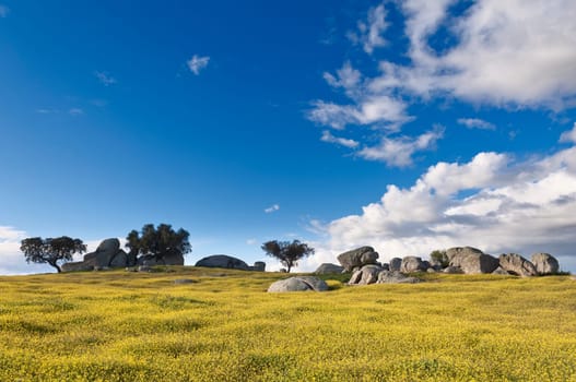 Vast plains of the Alentejo country in spring, Portugal