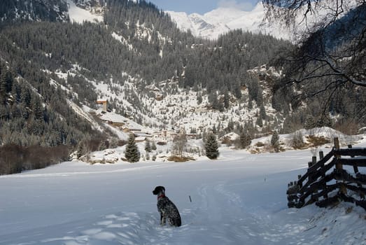 Schneeberg 15