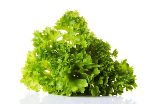 Parsley isolated on white