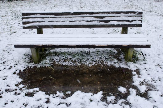 Snowy wooden bench in winter